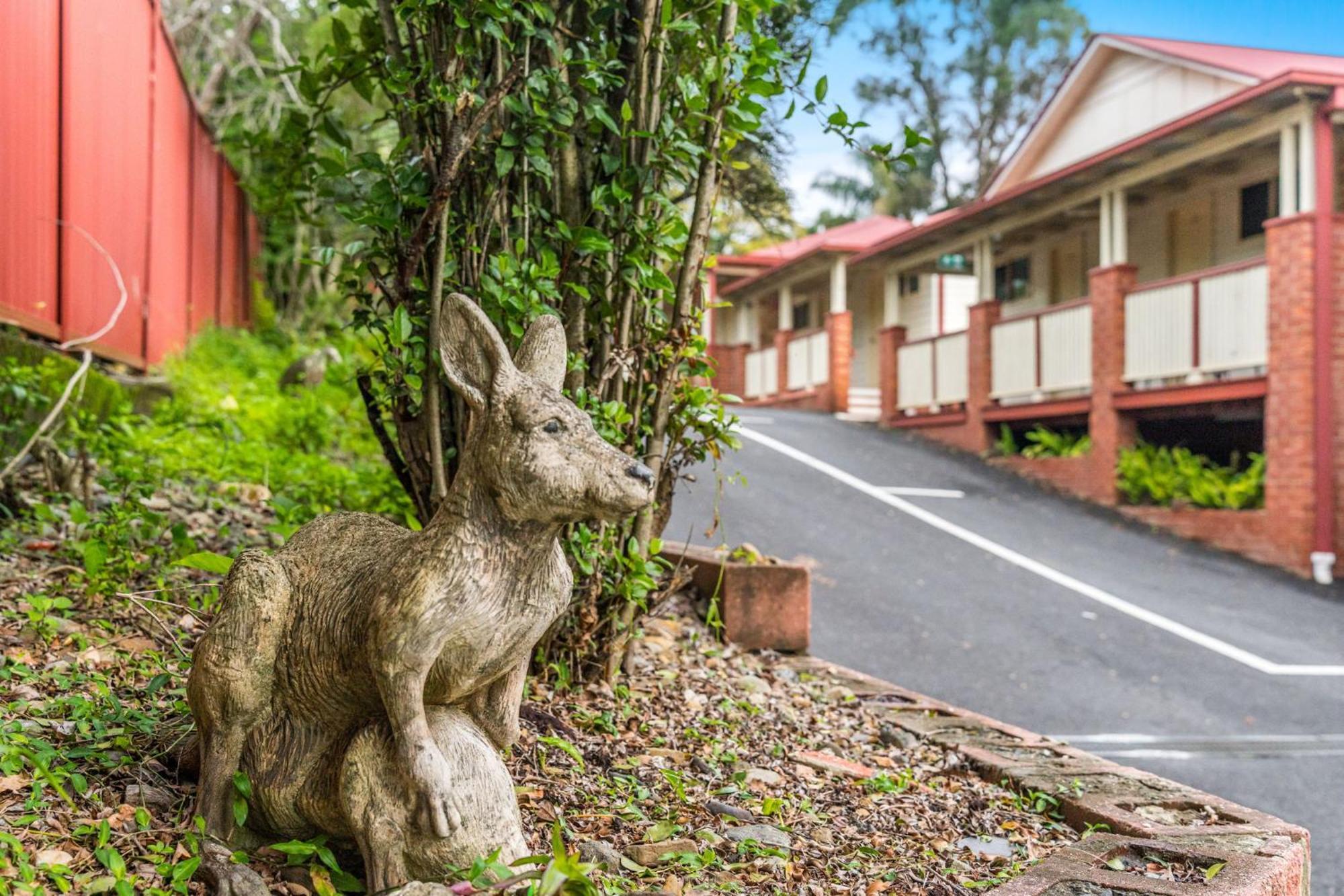 Lismore Wilson Motel Bagian luar foto